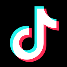 Search TikTok Video